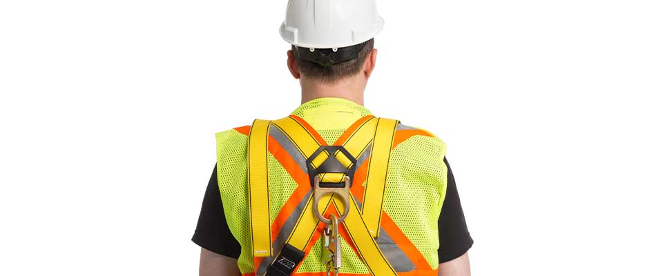 Fall Arrest Harness